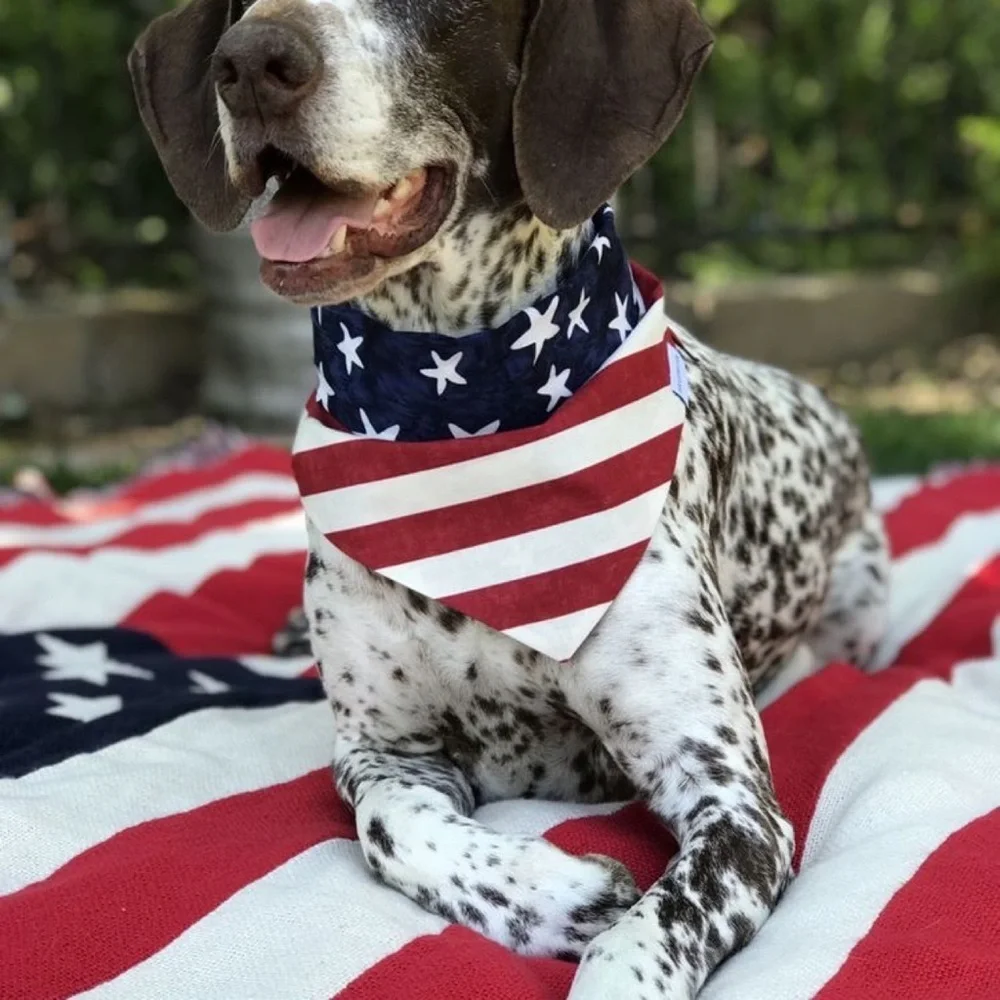 American Flag Red White and Blue Bandana for Pets